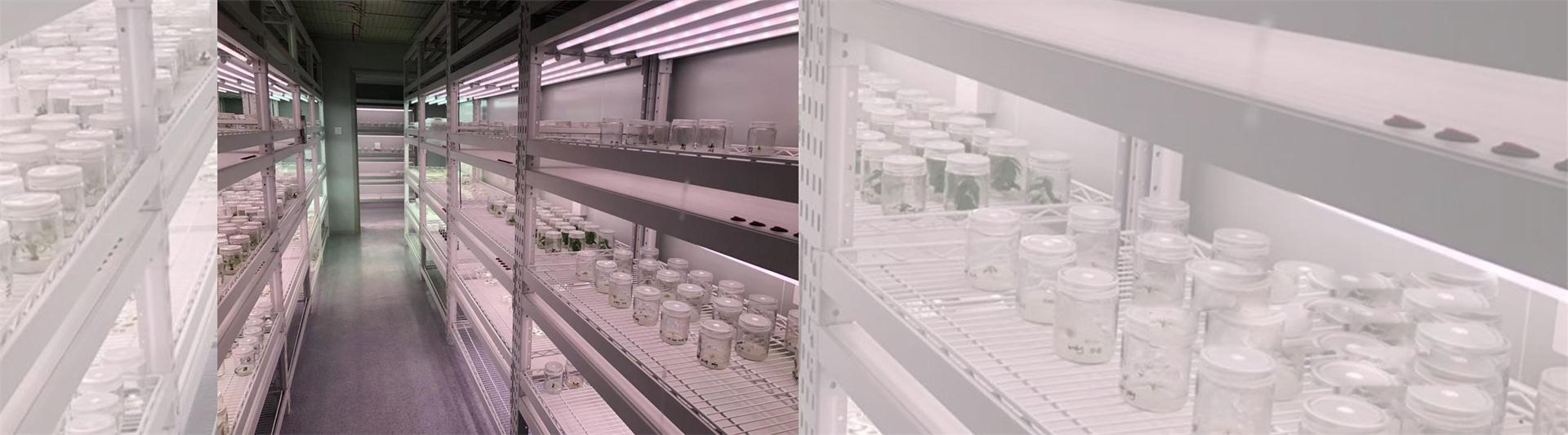 人工模擬環(huán)境的整體解決方案